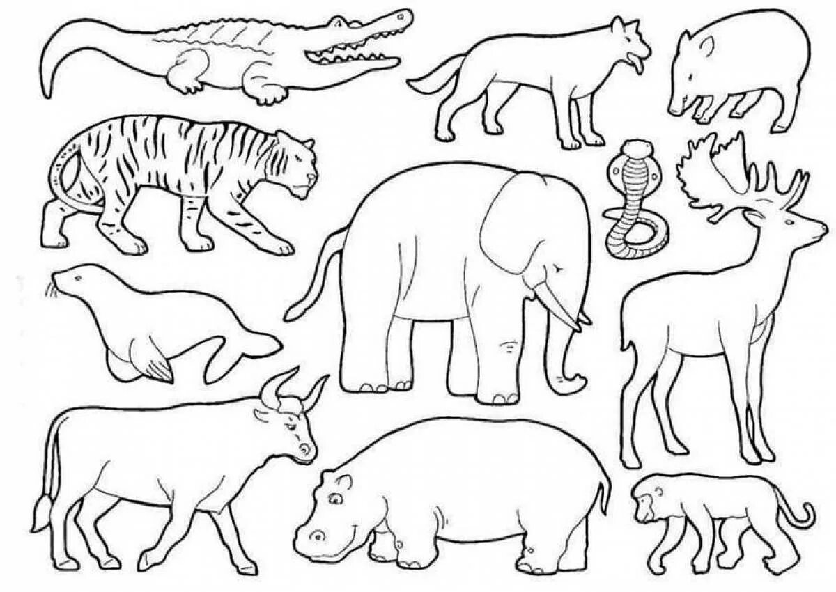 Раскраска группы животных. Рисунки животных для детей. Раскраски. Животные. Раскраска "Дикие животные". Дикие животные раскраска для детей.