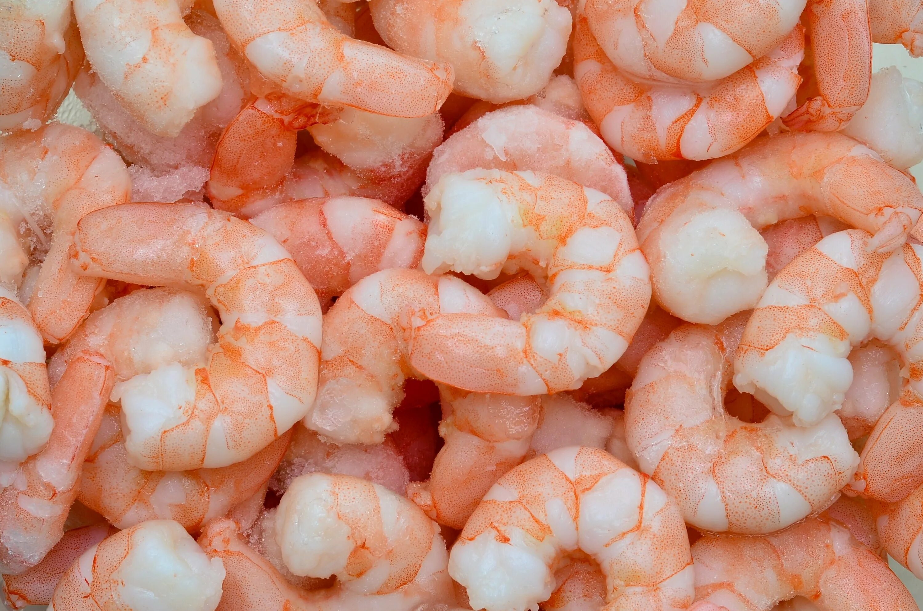 Королевская креветка Ваннамей. Креветки Ваннамей 200/300. Frozen Shrimp креветки. Креветки 100/200 vannamei.