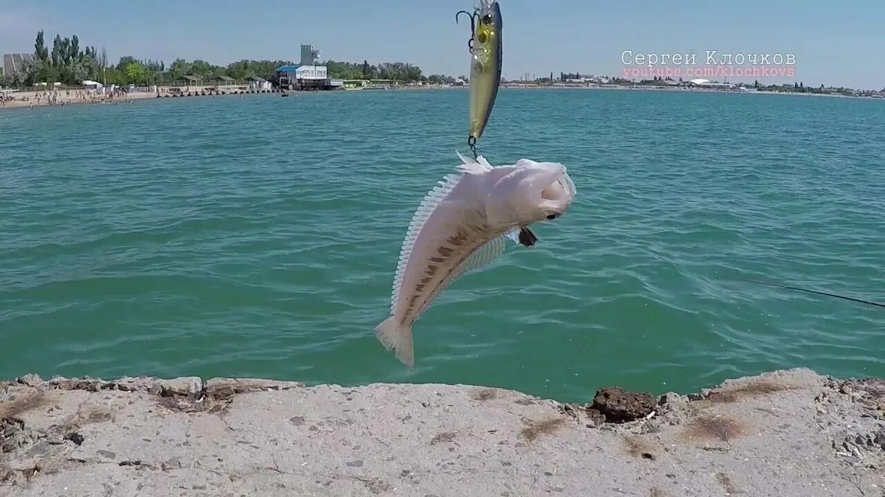 Рыбы в черном море в Анапе Витязево. Черное море Витязево рыбалка. Морская рыбалка Анапа. Ловля рыбы в черном море в Крыму с берега. Ловим рыбу в крыму