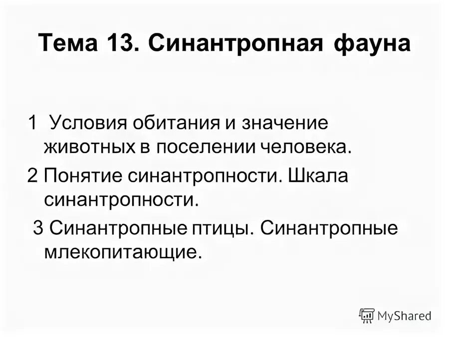 Каково значение синантропных животных в городской среде