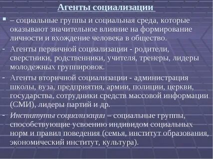 Сми институт социализации