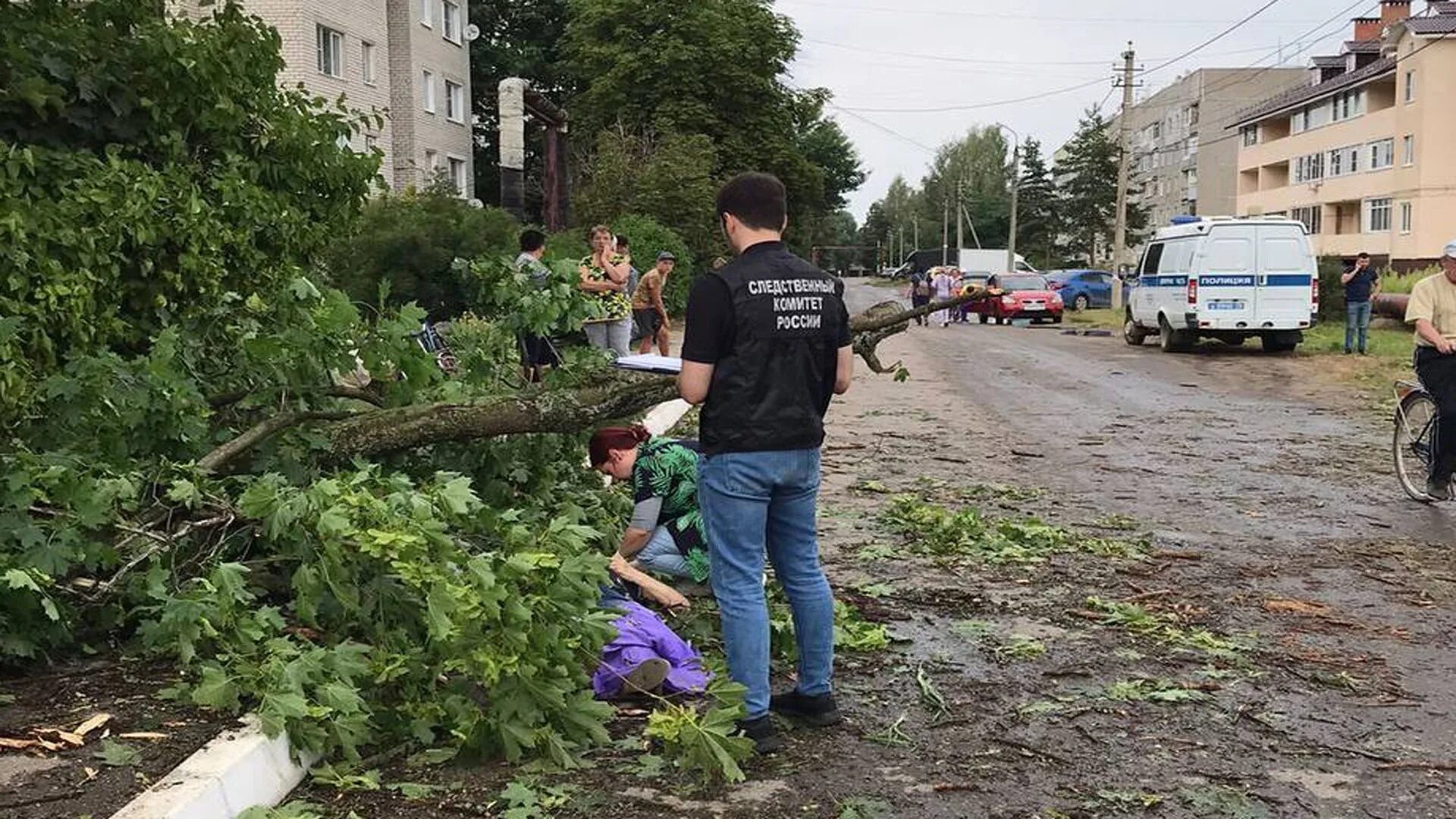 Упавшее дерево. Поселок Михайловский Ярославский район. Посёлок Михайловский Ярославль.