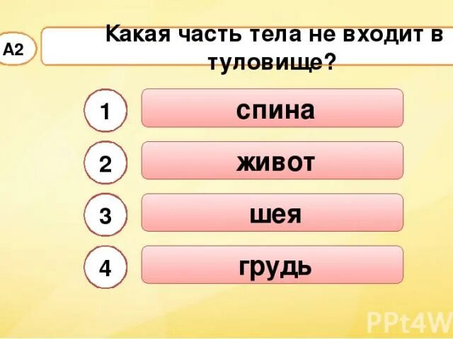 Тест строение человека 2 класс окружающий мир. Что входит в туловище. какая часть тела не входит в туловище человека. что не является частью туловища. что входит в туловище человека.