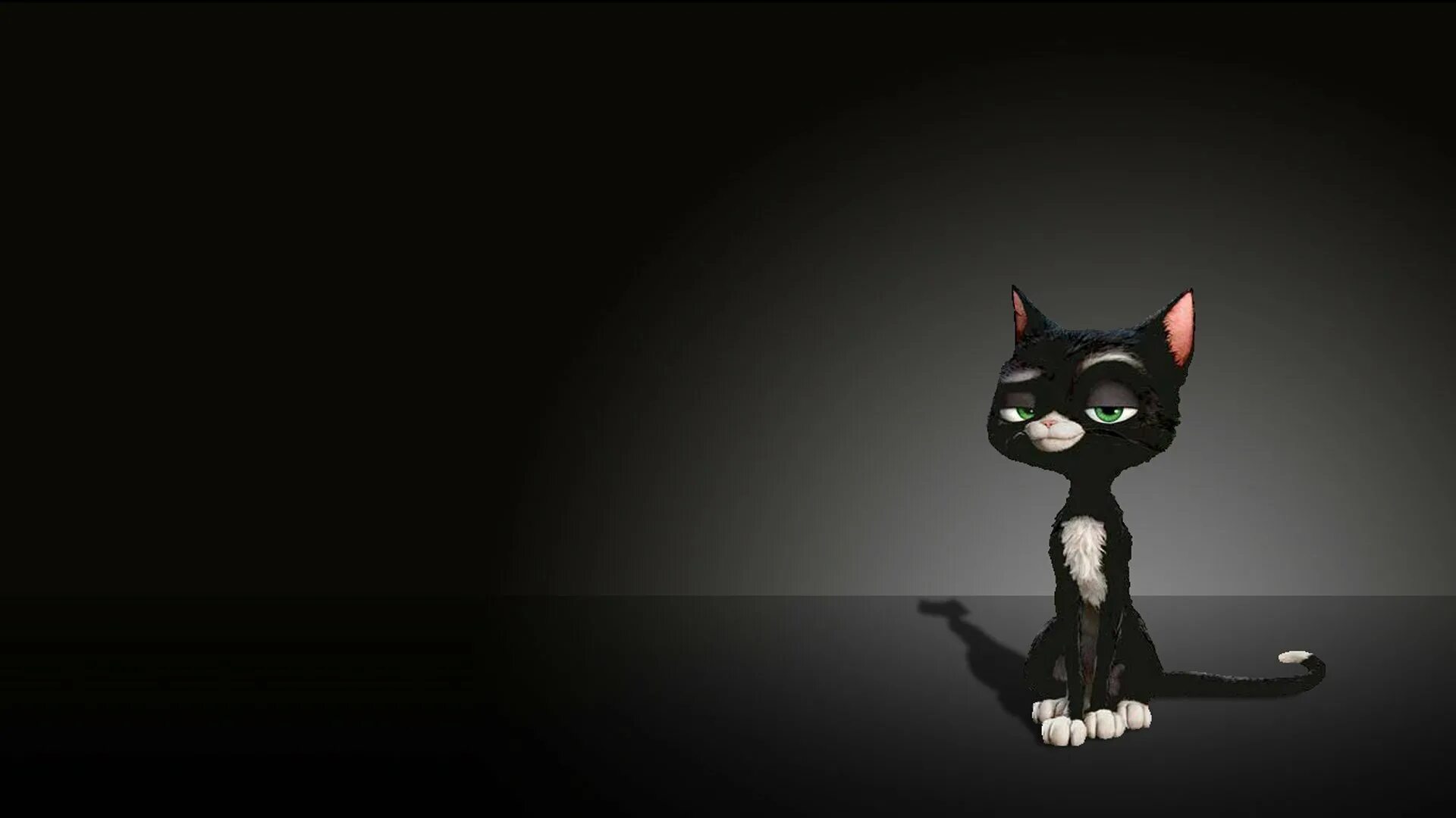 Картинка кот на черном фоне. Кот на черном фоне. обои на рабочий стол кошки. котик на темном фоне.