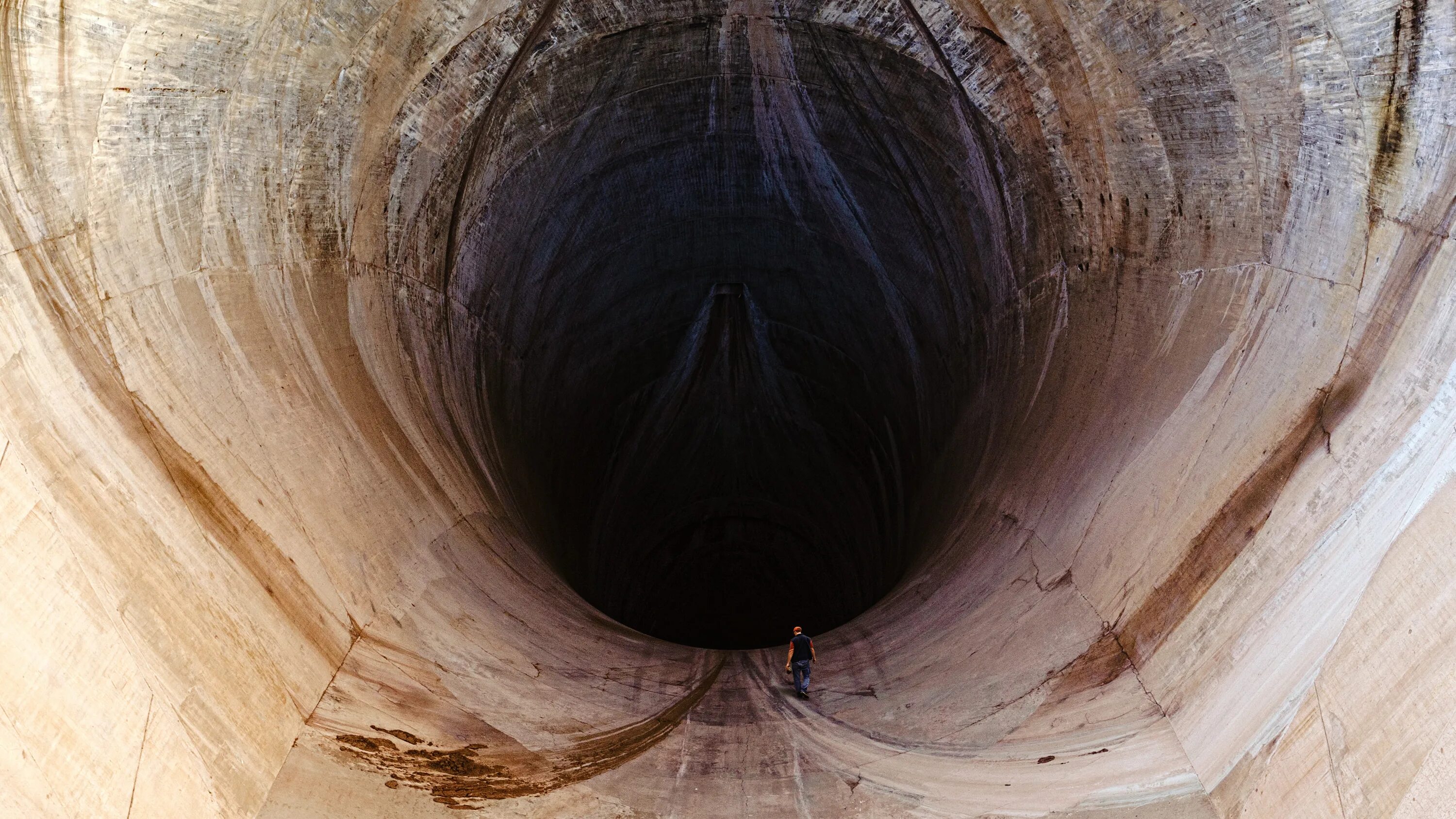 Девки большие дырки. Дерево с тоннелем внутри. Круглая дыра тоннель.
