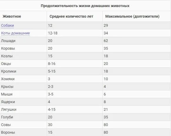 Продолжительность жизни животных 1 класс таблица. Продолжительность жизни домашних животных таблица. Срок жизни животных таблица 1. Продолжительность жизни животных долгожителей таблица. Сколько жило в харькове