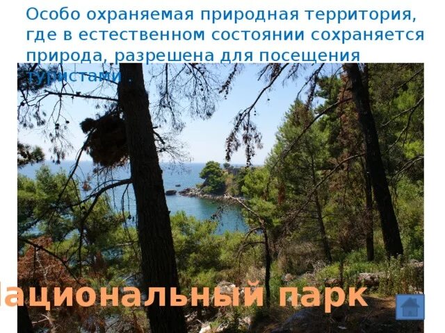 Классификация оопт. Заповедники заказники национальные парки памятники природы. Особо охраняемые территории заповедники. Заповедники удмуртии презентация. Заповедники удмуртии презентация.
