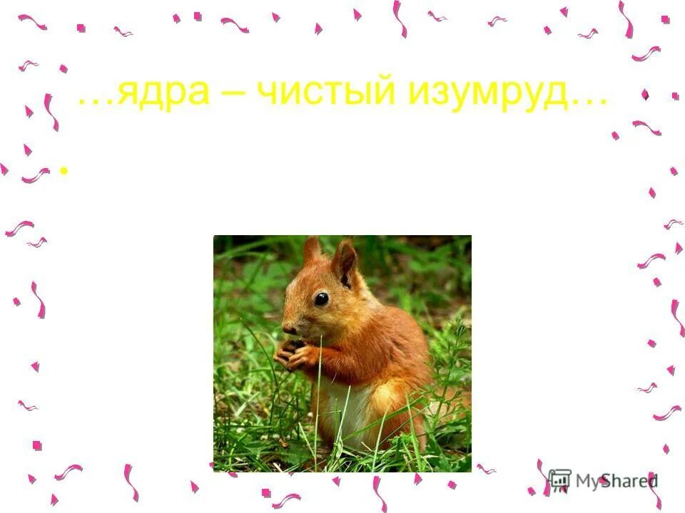 А орешки непростые. Ядра чистый изумруд. Отрывок про белку из сказки о царе. А орешки непростые. Белка песенки поёт.