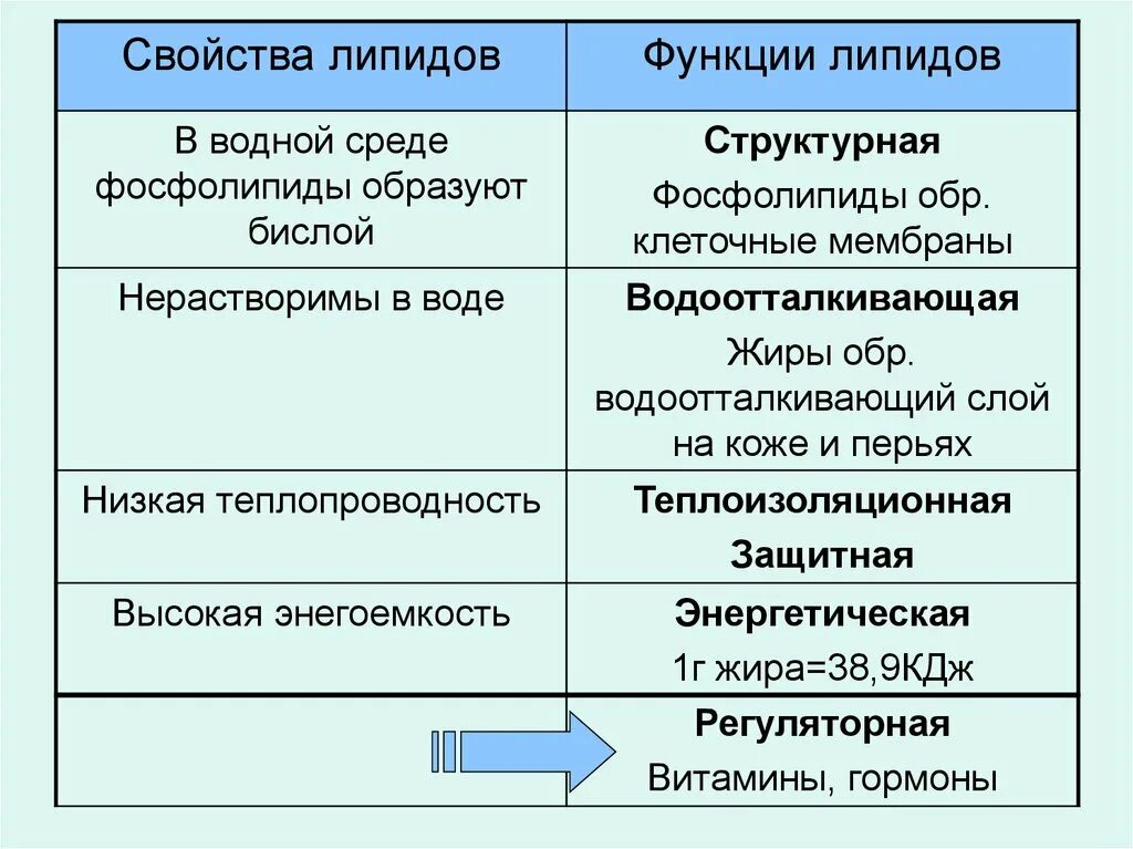 Биологические функции липидов в организме. Липиды строение и функции кратко таблица. Липиды строение и функции кратко. Липиды строение свойства и функции кратко. Строение и свойства липидов.