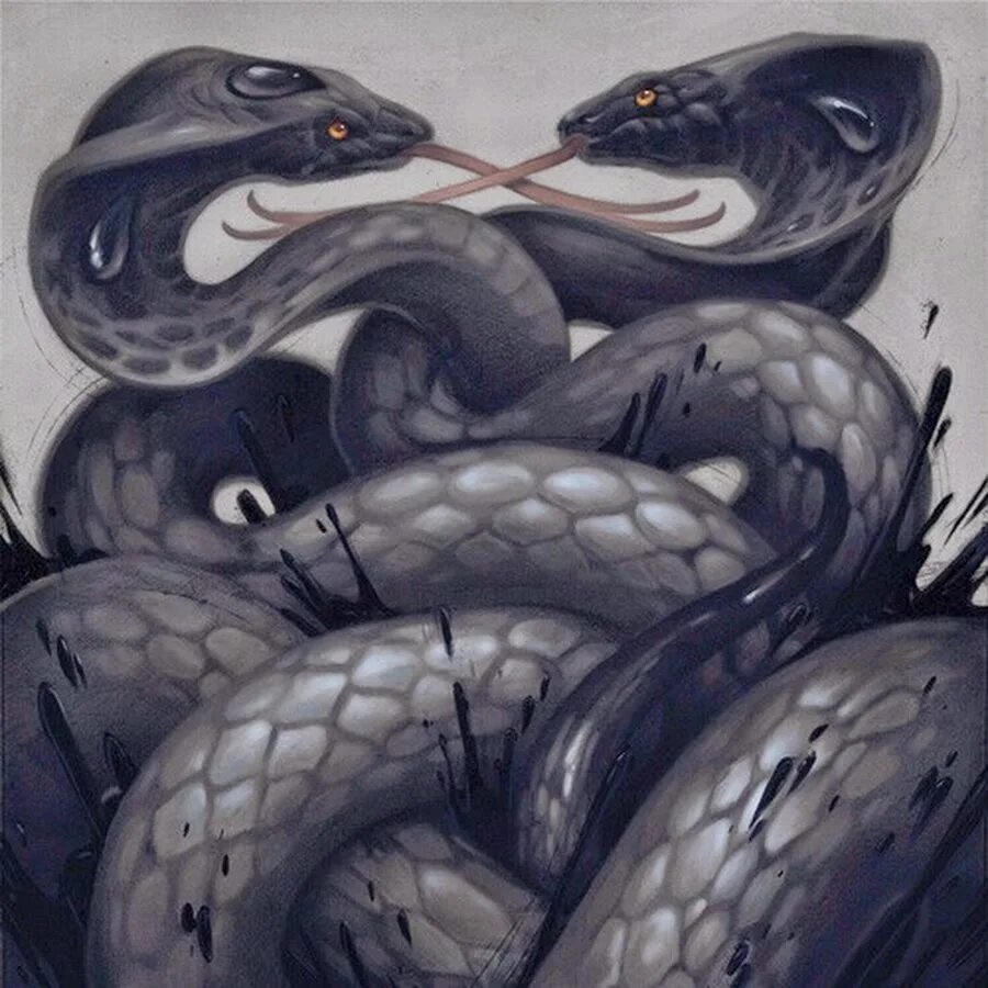 Много черных змей. Змея арт. Змеи арты. Черная змея арт. Огромная черная змея арт.