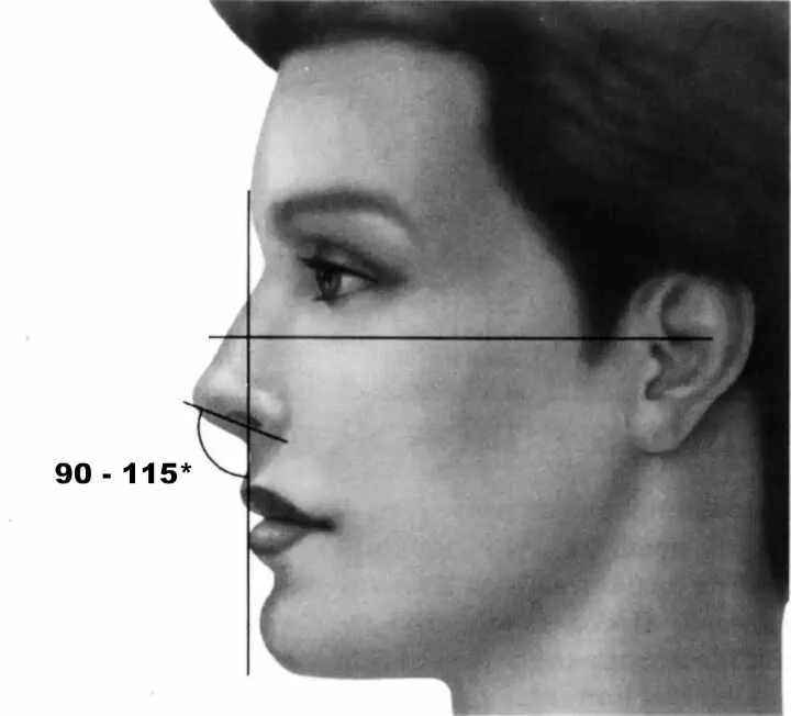 Лоб 5 см. Носогубный угол ТРГ. Правильный подбородок в профиль. Прямой нос у женщин. Курносый нос.