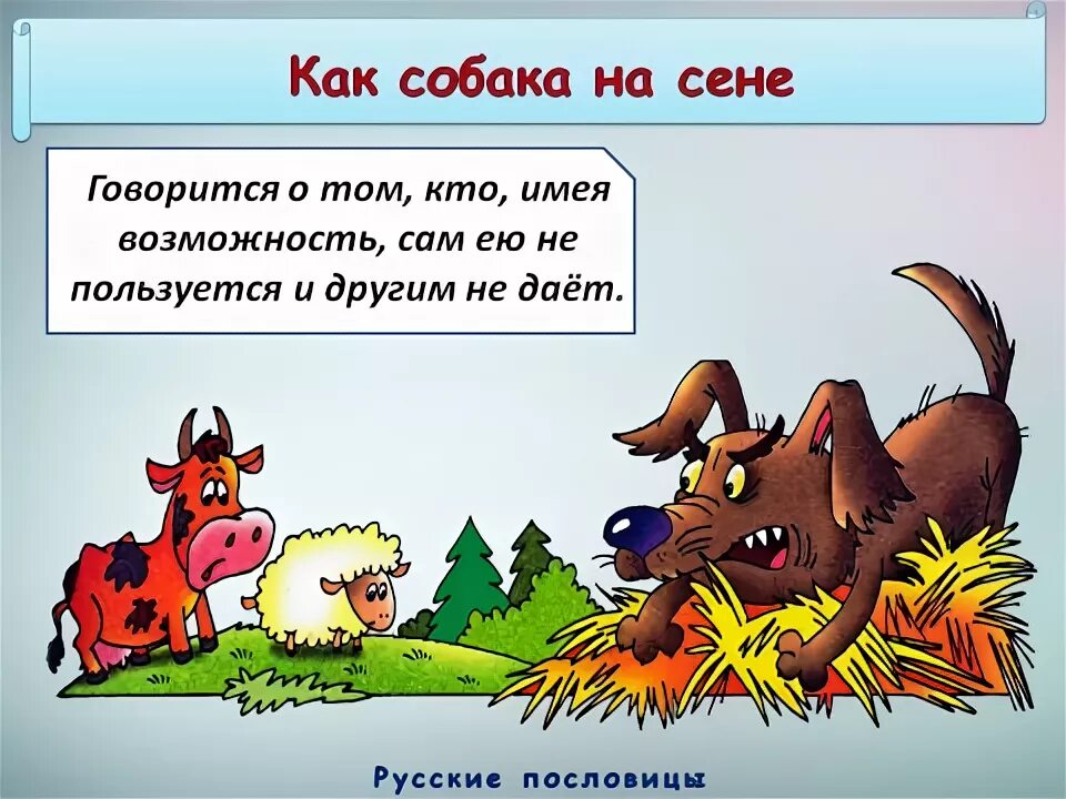 Собака на сене пословица. Собака на сене фразеологизм. Собака на сене значение фразеологизма. Выражение собака на сене что означает. Сено цитаты