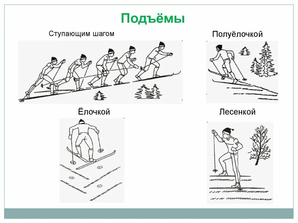 Подъем ступающим шагом. Подъем ступающим шагом на лыжах. Техника подъема лесенкой. Способы преодоления подъемов на лыжах ступающим шагом. Способ подъема елочка