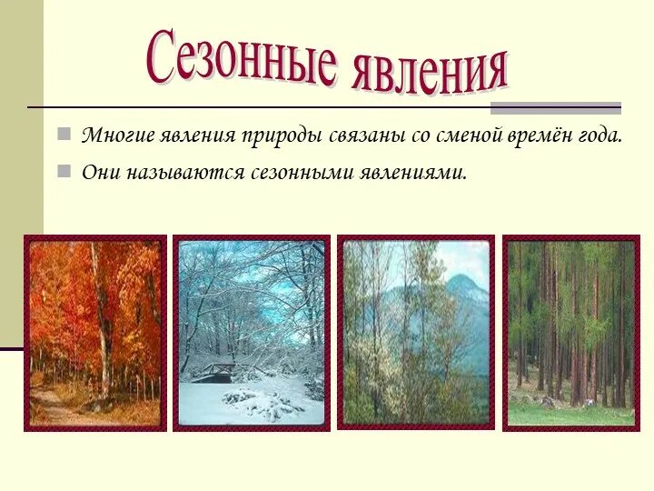 Приведите по 2 3 примера сезонных Сезонные изменения в жизни животных 5 класс