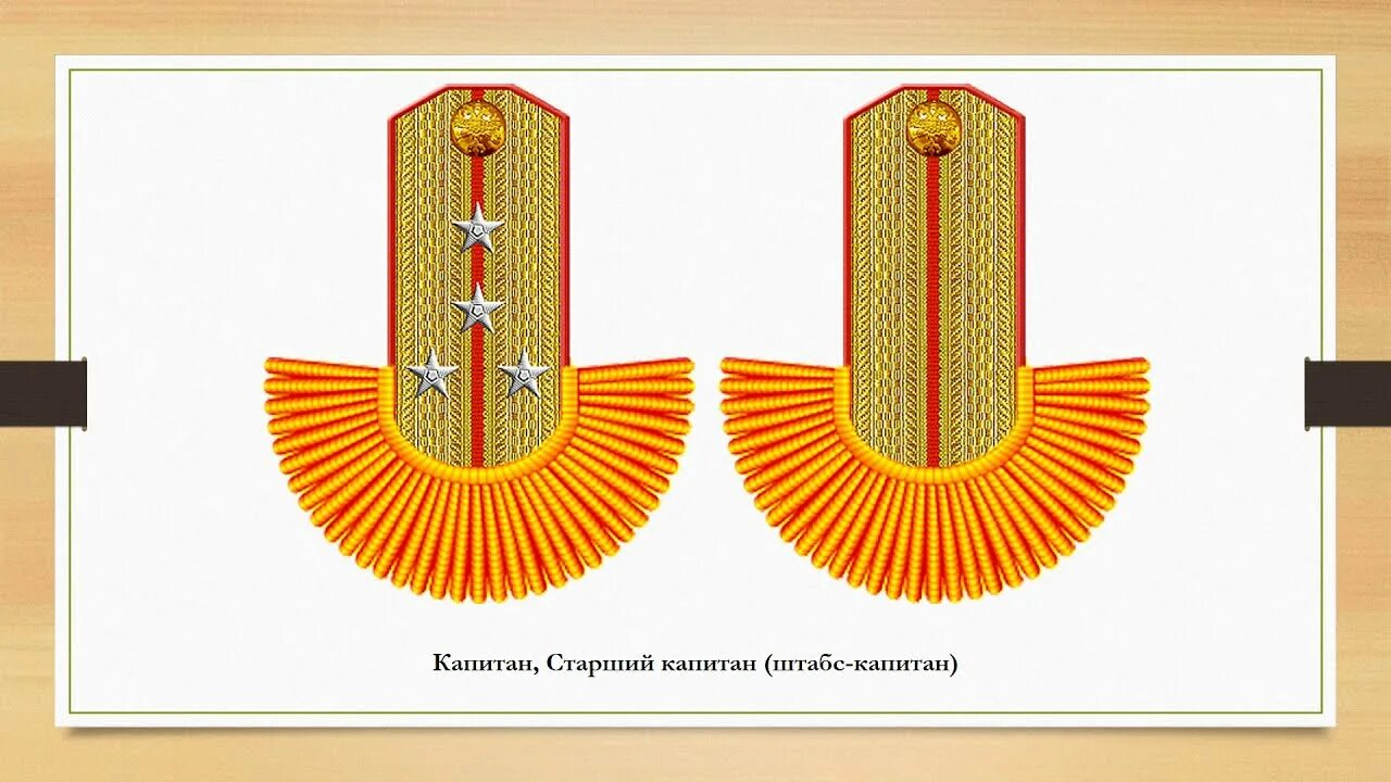 Эполеты знаки различия. Погоны Латвии. Знак парадного расчета. Погон поворотный.