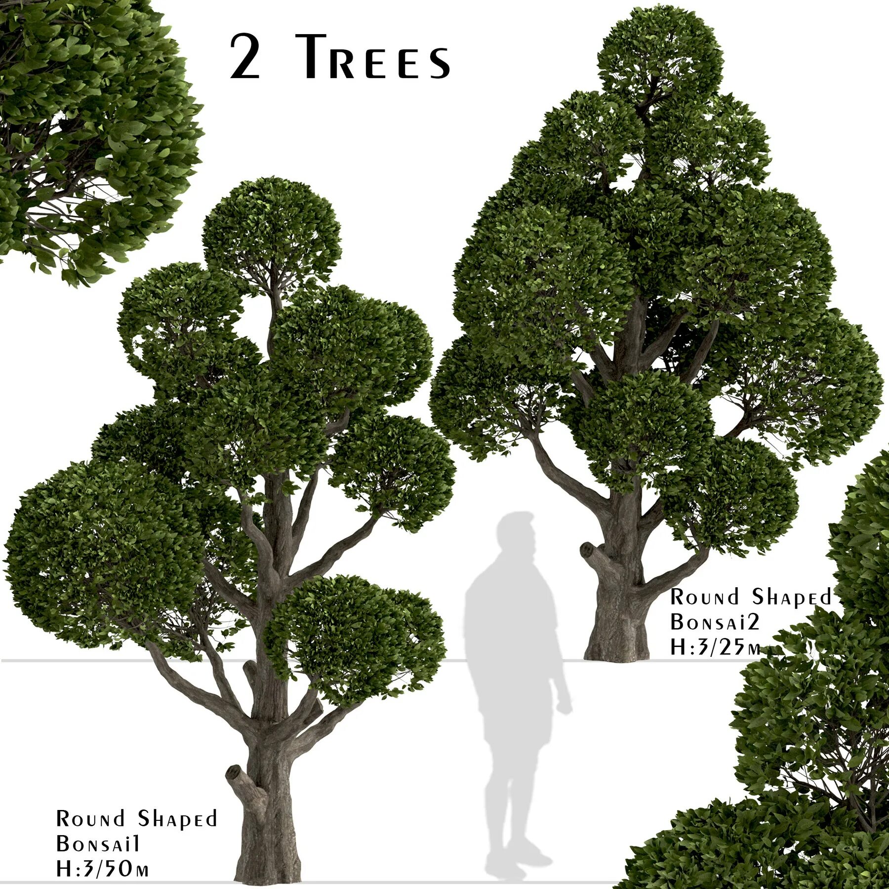 Дерево 2 мм. (2*а-3*d)*с+2*b дерево. почему tree(2)=3 а не tree(2)=4.