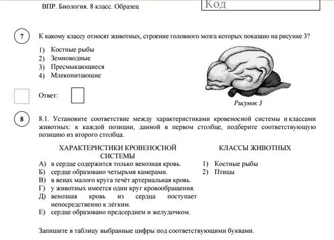 Впр 8 класс биология 2024 животные