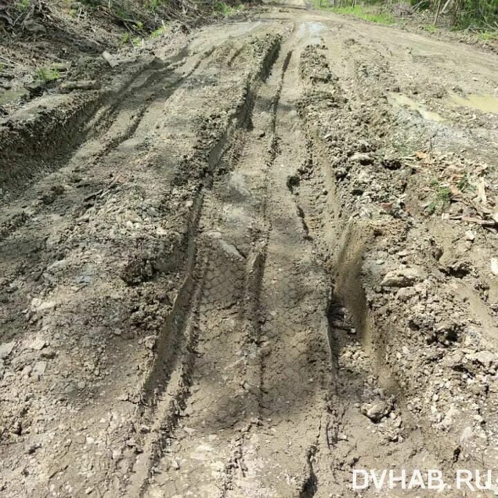 Дорога в Вязьме. Вяземский шумный дорога. Фото дороги Вяземский шумный. Мост шумный Вяземский район. Вяземская дорога