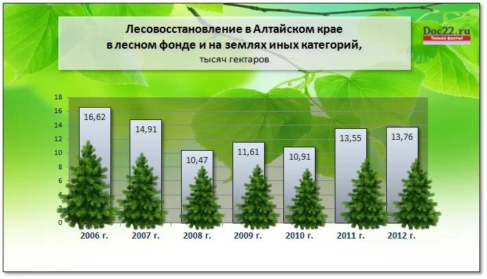 Правила лесовосстановления 1024. Лесовосстановление леса. Кассеты для лесовосстановления. Проект лесовосстановления. Лесовосстановление таблица.