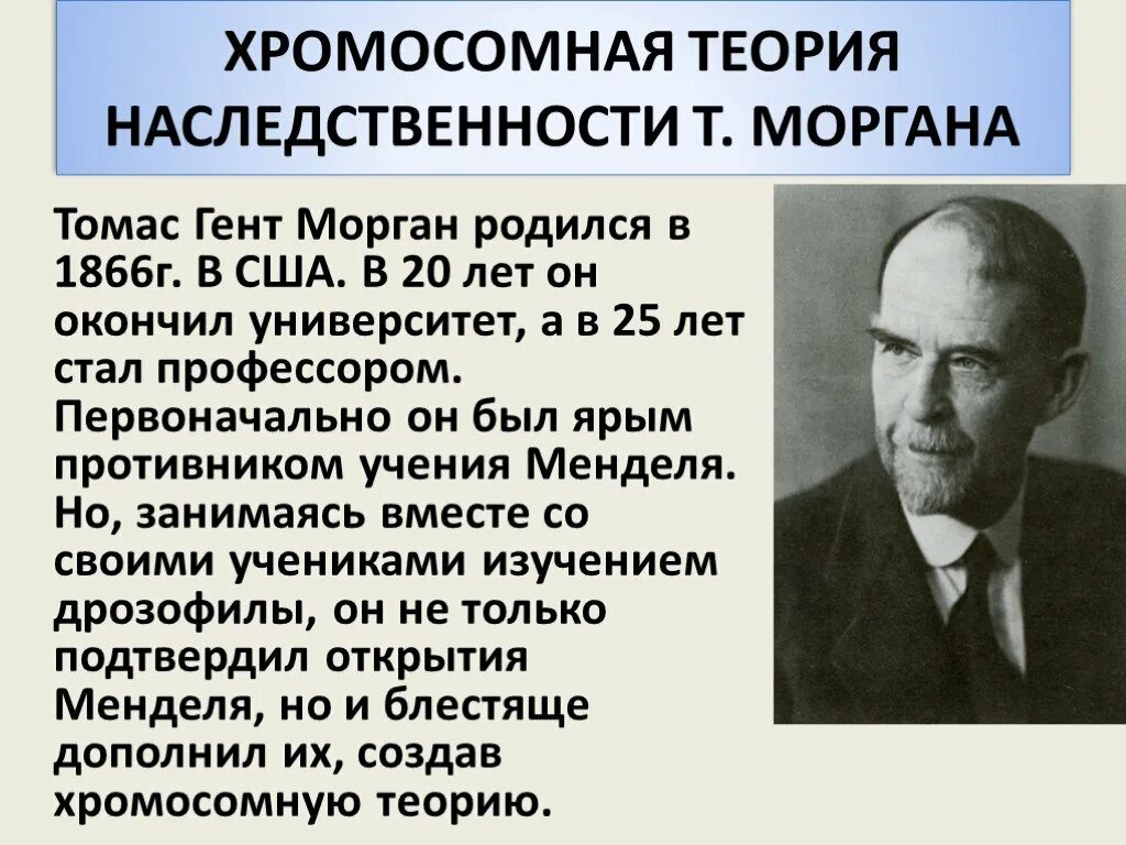 Развитие теории наследственности. Хромосомная теория Томаса Моргана. Теории наследственности т. Моргана.