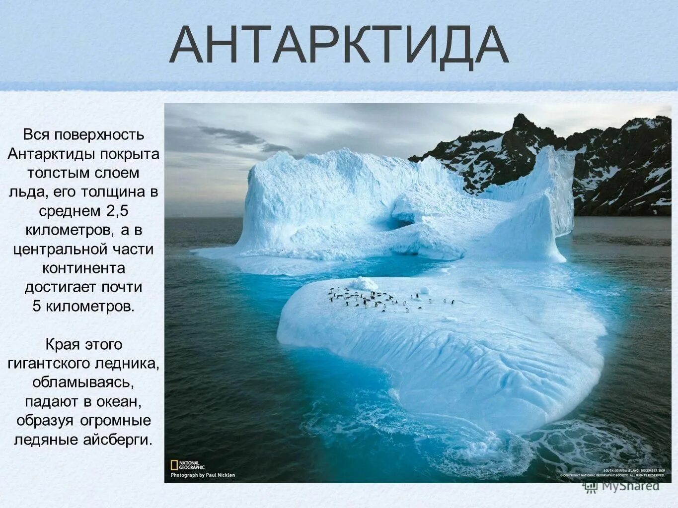 Признаки толстого льда. Тема Антарктида. Антарктида проект. Антарктида презентация. Сведения о Антарктиде.