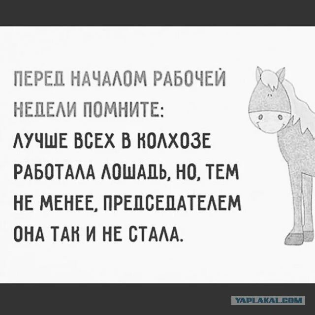 Кто везет на том и едут. Ктотвезет на том и едут. Перед началом рабочей недели помните. Кто везет на том и едут пословица.