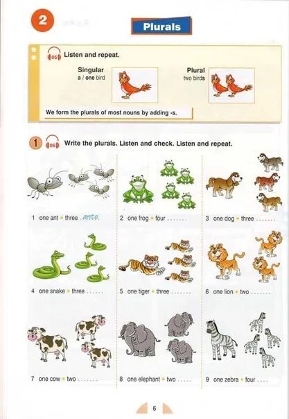 Write the plural tooth. Английский round up 1 plurals. round up 1 plurals. plurals round up. new round up level 1 student&#039;s book special edition.