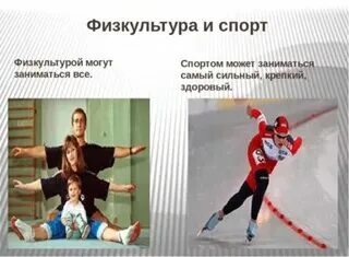 Сходства и различие физической культуры