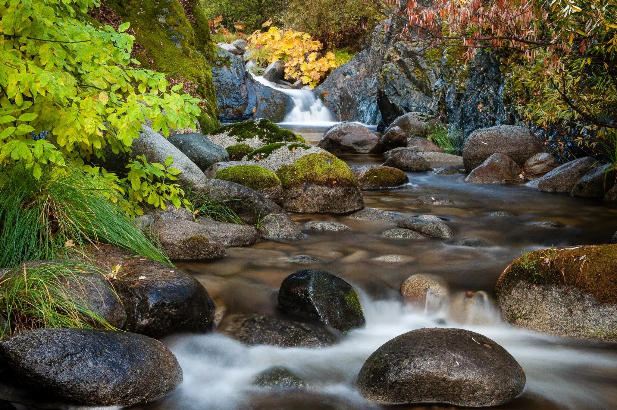 Stone river. Водопад Чардымские камни. Река с водопадом. Камни в реке. Ручей водопад.