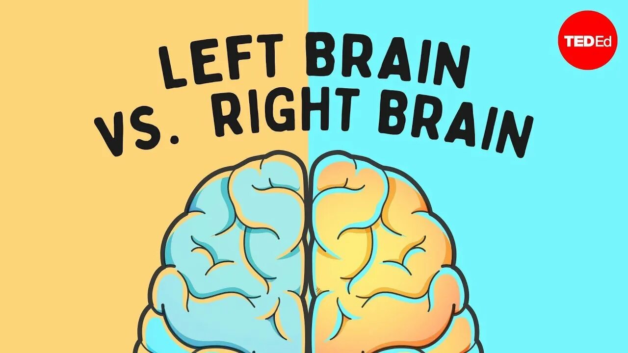 Left Brain vs right Brain. Мозг против похудения. Left Brain versus right Brain.