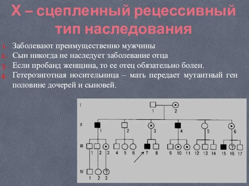 Генеалогический метод типы наследования. Х сцепленный рецессивный Тип наследования. Х сцепленный рецессивный Тип наследования родословная. Х-сцепленный рецессивный Тип наследования болезни. Гетерозиготная 2 группа крови