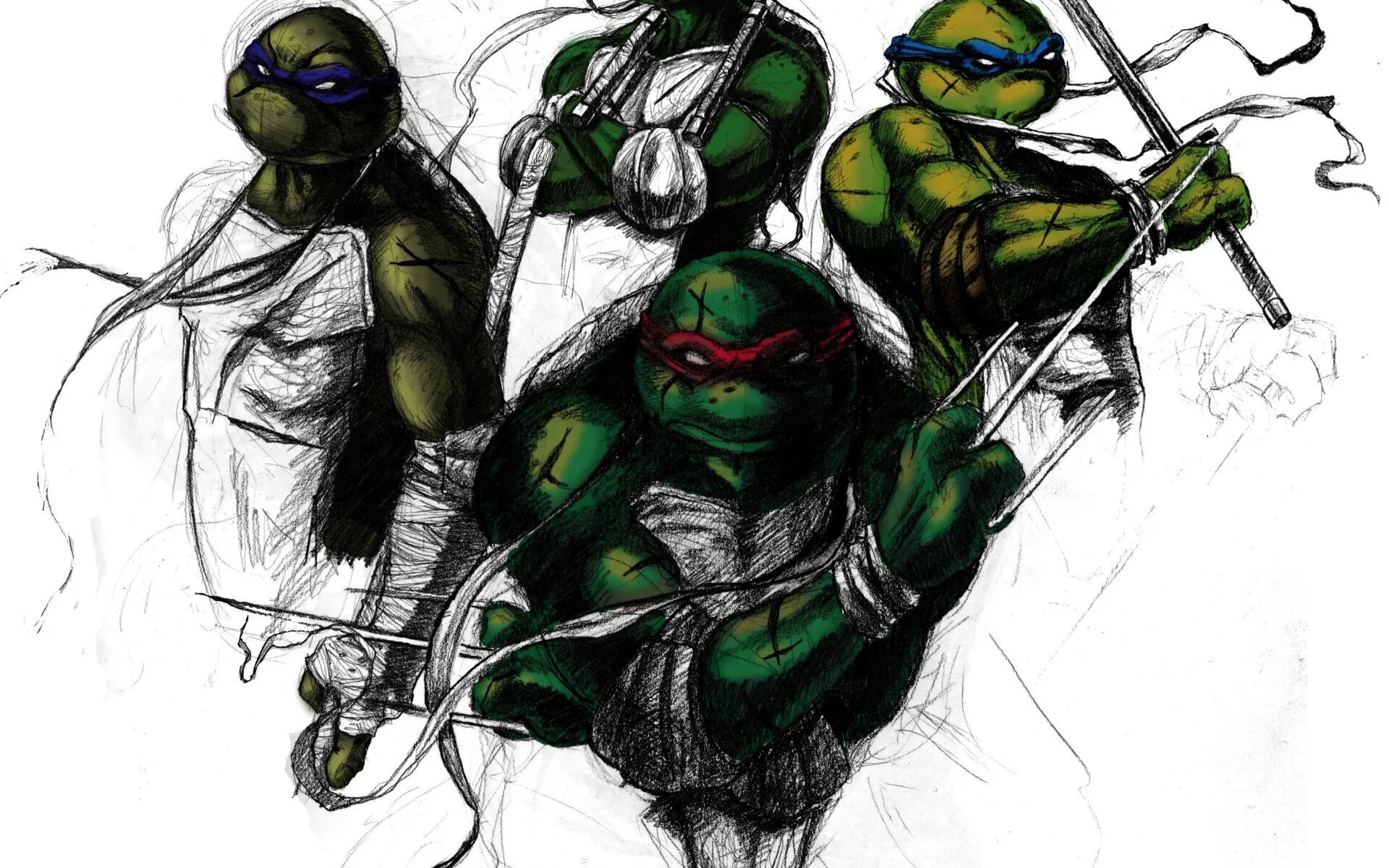 Черепашки ниндзя Лео. Тмнт 2003 РАФ. TMNT 2003 Leo. Донателла черепашка ниндзя. Tmnt на русском