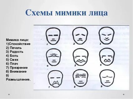Названия лиц по действию