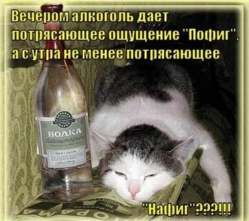 Смешные картинки выпьем