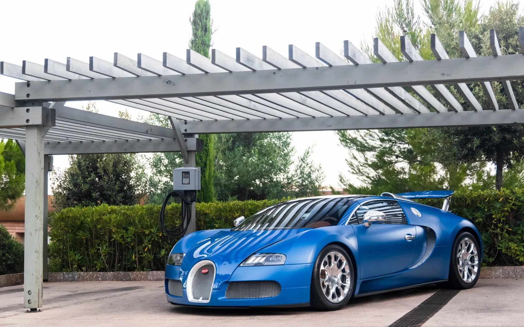 Blue sport. Angelo Bugatti. Bugatti Fabrikasi.