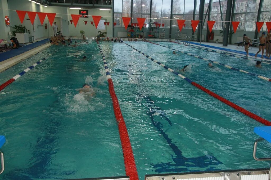 бассейны в приозерском районе. соревнования в бассейне. бассейны в приозерском районе. гостиница суванто громово. покажи директора приозерского бассейна.