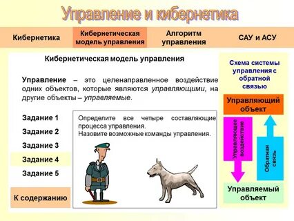Человека животное или техническое устройство