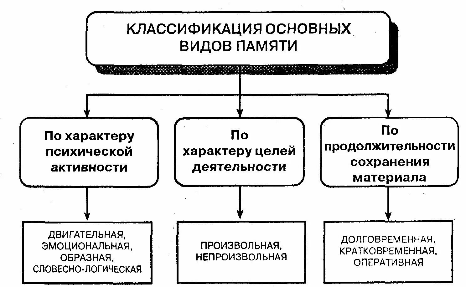 Типы психической активности. Классификация основных видов памяти. Маклаков классификация основных видов памяти. Классификация основных видов памяти схема. Классификация основных видов памяти таблица.