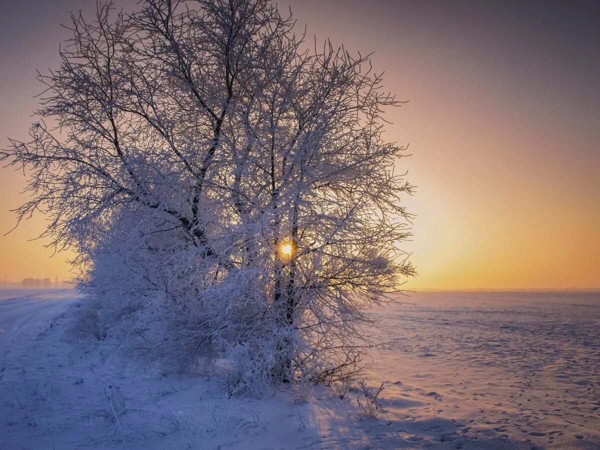 Снежное утро красивые. Солнце зимой. Зимний пейзаж. Зимнее утро. Солнечное зимнее утро.