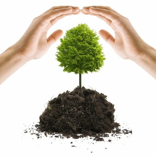 Take care of this. Take Care of the environment. Save Charity. Tree Preservation poster. Earth Composition.