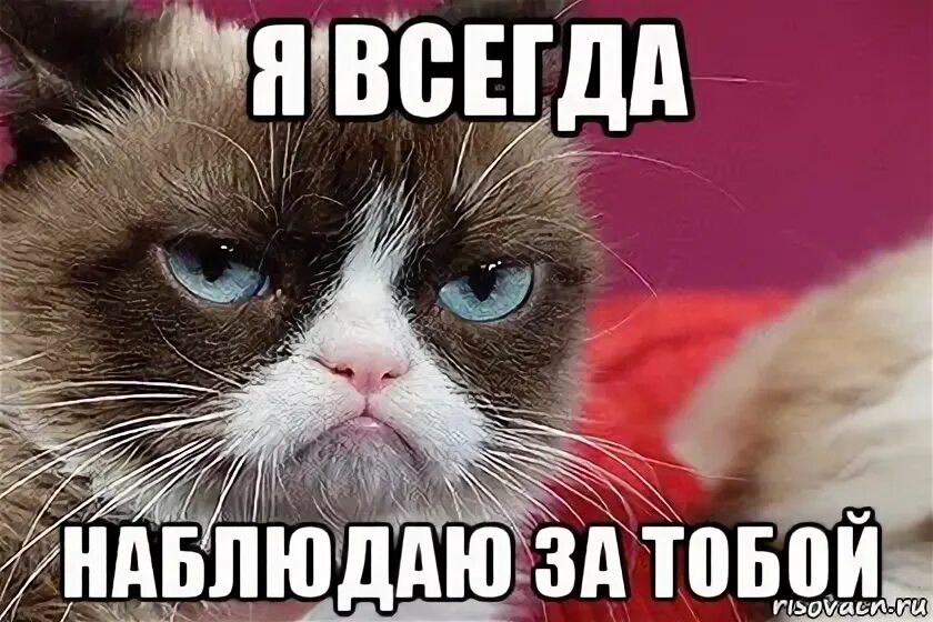 Слежу форум. Я слежу за тобой картинки. я за вами наблюдаю. я слежу за тобой прикол. я за тобой наблюдаю картинки.