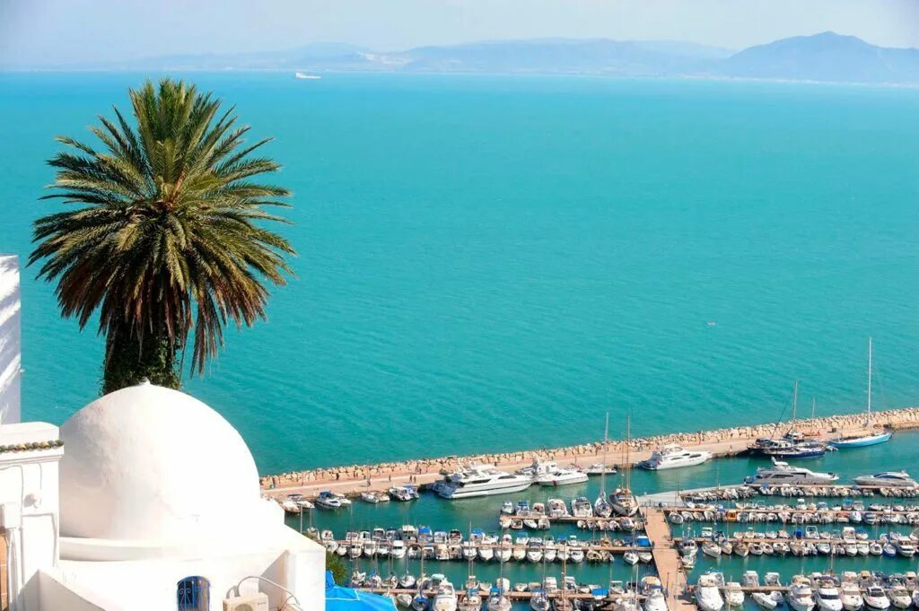 Где можно отдохнуть за границей в 2024. Средиземное море Тунис. Тунис красивые фото. Картинки на рабочий стол Тунис. Тунис заставка.