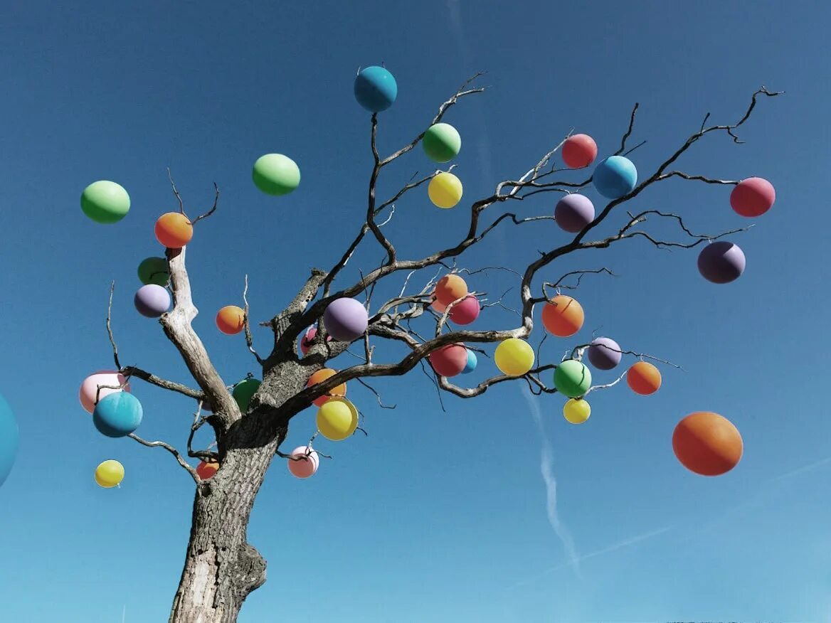 Воздушные шарики деревья. Воздушные шары на дереве. Шары на деревьях. Дерево с шариками. Шары на ветках деревьев.