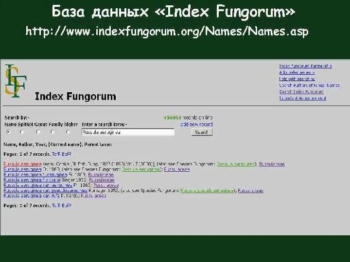 Index fungorum