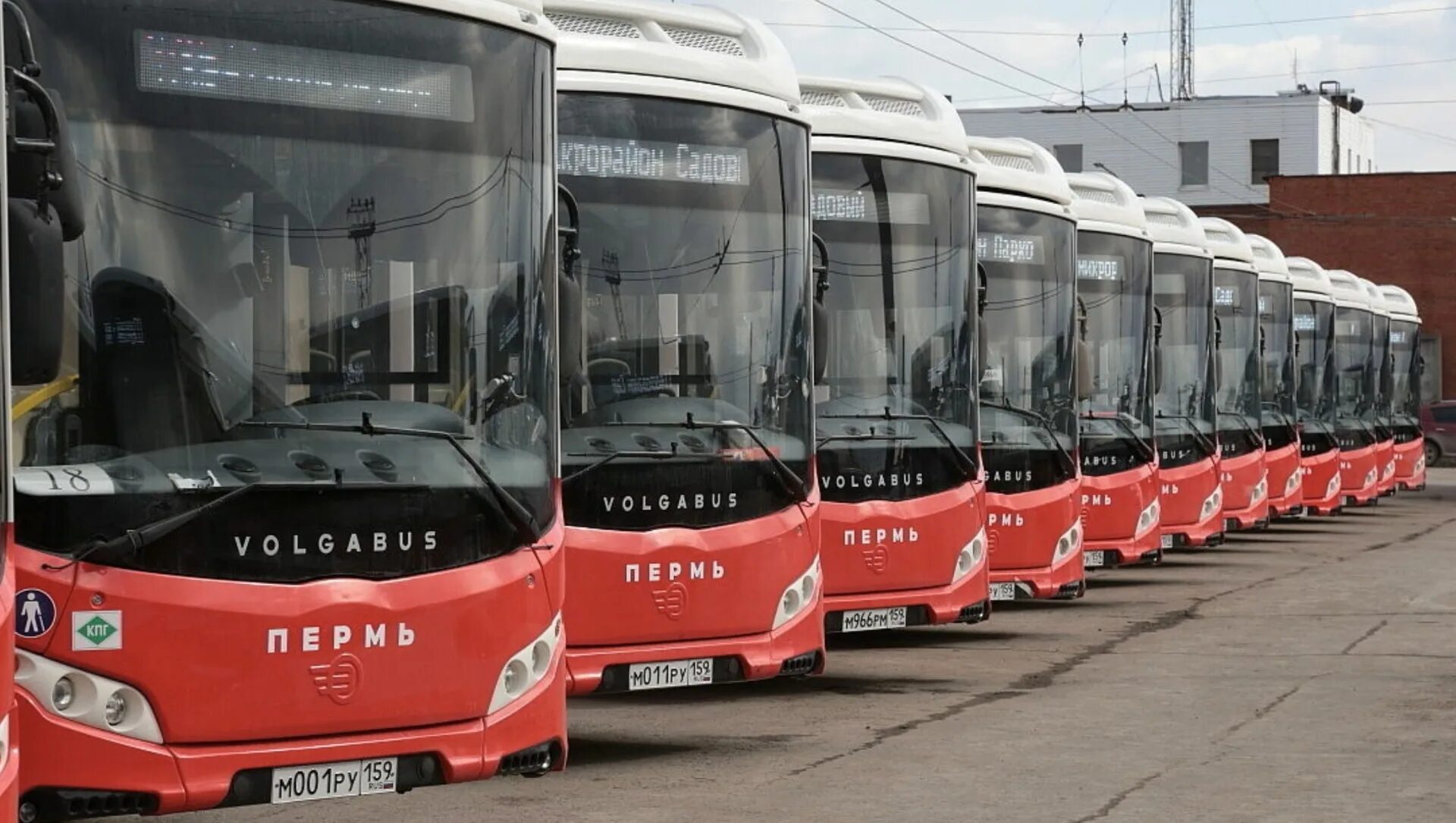 Автобус станция пермь. Новые автобусы. Пермские автобусы. Новый транспорт в Перми. Пермские автобусы новые.