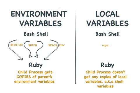 Bash environment variable