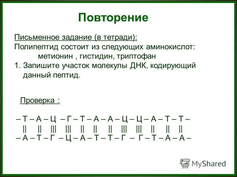 Аминокислотная последовательность днк. Ген код и рнк. Ген это участок днк кодирующий. Информационный участок днк экзон. Ген участок днк кодирующий первичную структуру одного белка.