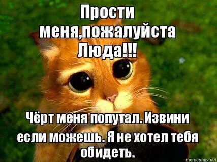 Когда так говорят извините пожалуйста спасибо