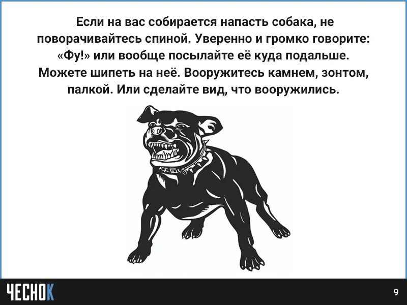 Памятка при нападении собаки. Собака собирается напасть. Как понять что собака собирается напасть. Собака собирается. Что делать если на тебя напала собака