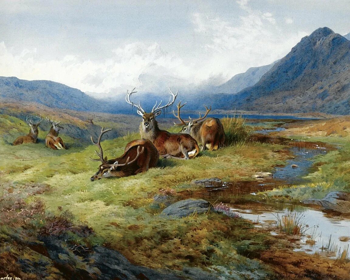 басня крылова дерево. виноградник и олень басня. басня олень и виноград эзоп. олень спрятался от охотников в виноградник разобрать. виноградник и олень.